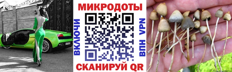 гидра онион  Черемхово  Галлюциногенные грибы Magic Shrooms 