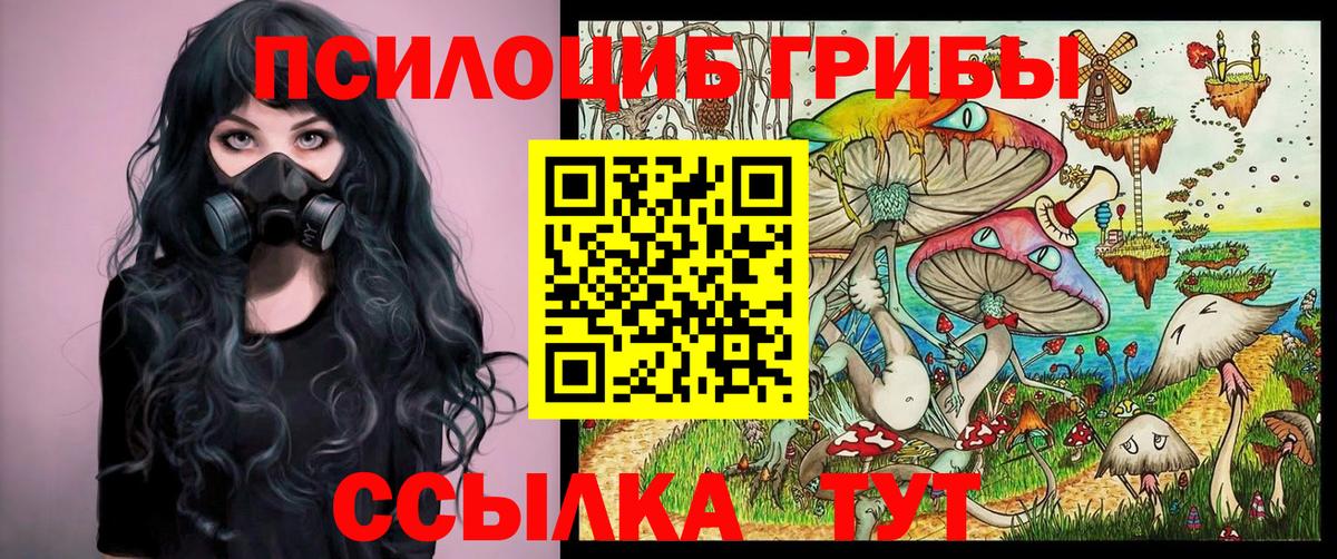 Галлюциногенные грибы Psilocybe  Вход с VPN  Черемхово 