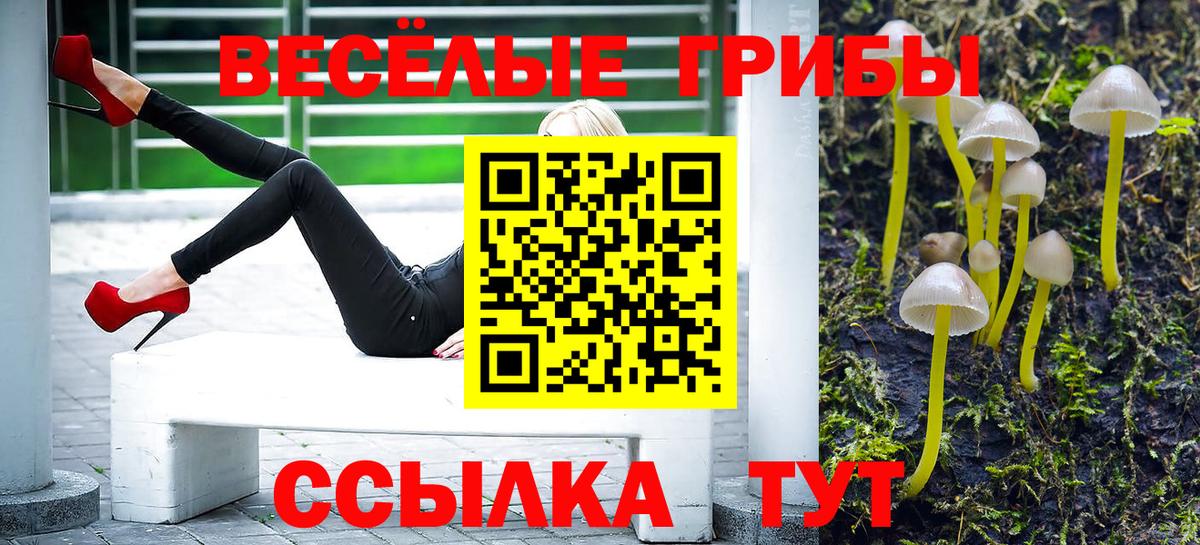 Псилоцибиновые грибы MAGIC MUSHROOMS Черемхово